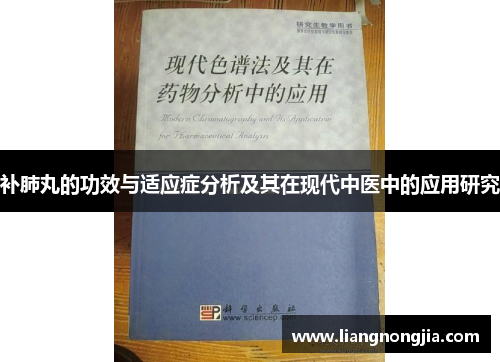 补肺丸的功效与适应症分析及其在现代中医中的应用研究